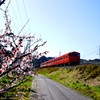 生活の中に