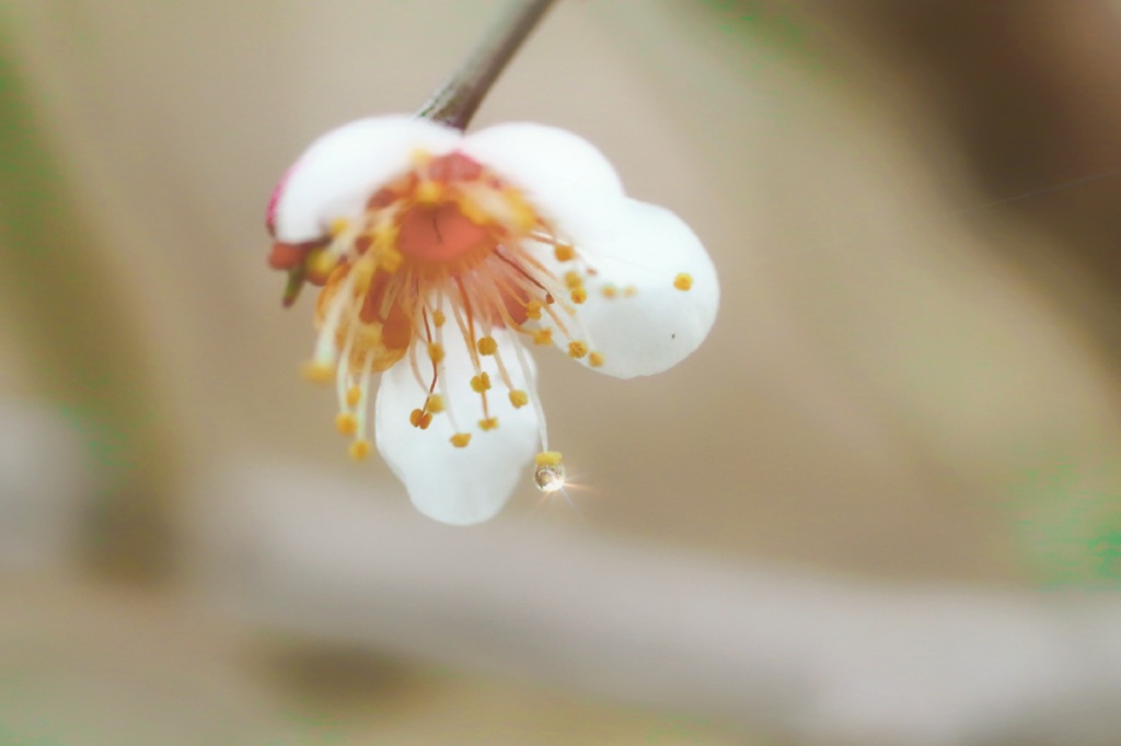 雨上がり