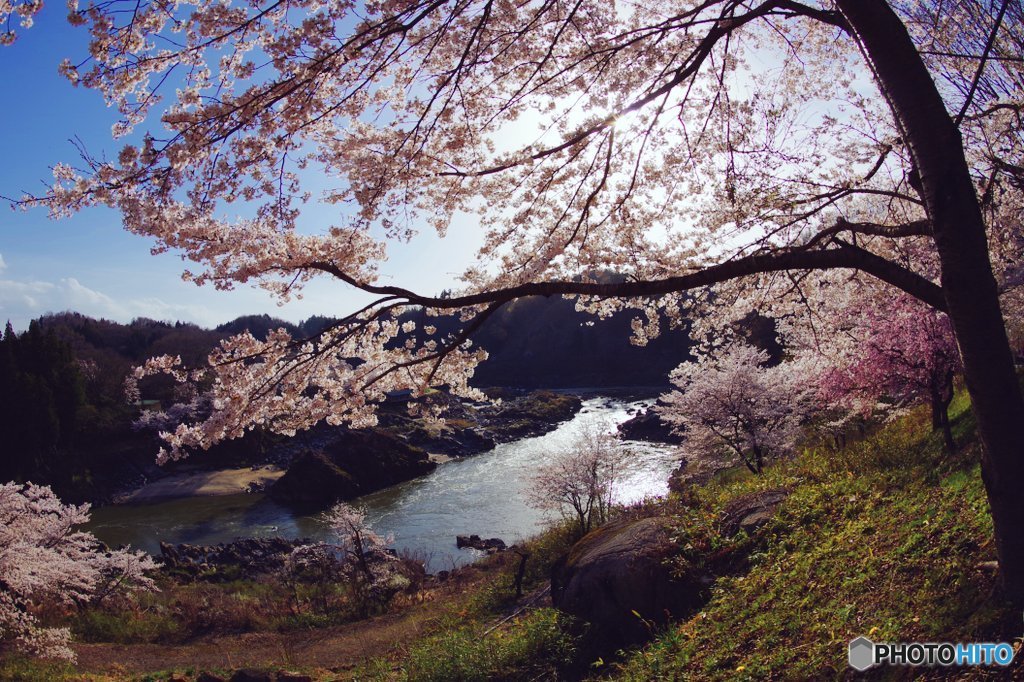 里山の春