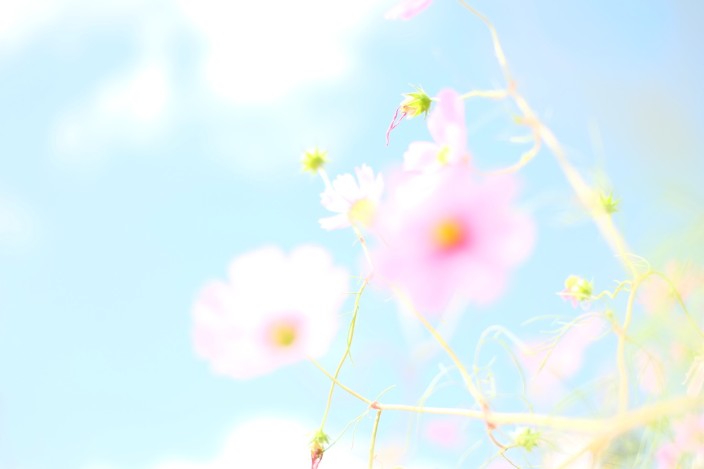 水彩画のような