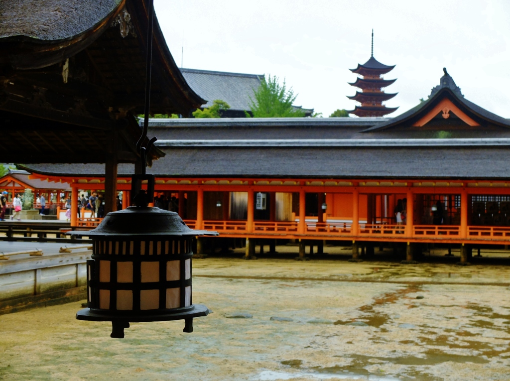 厳島神社より　⑤