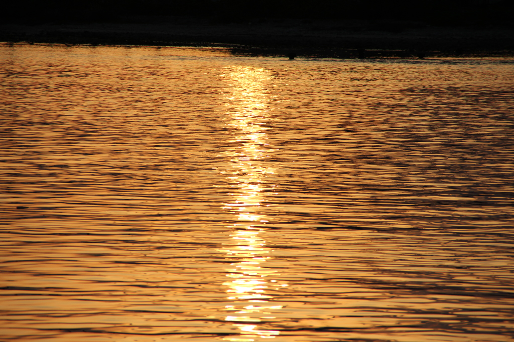 水面夕日