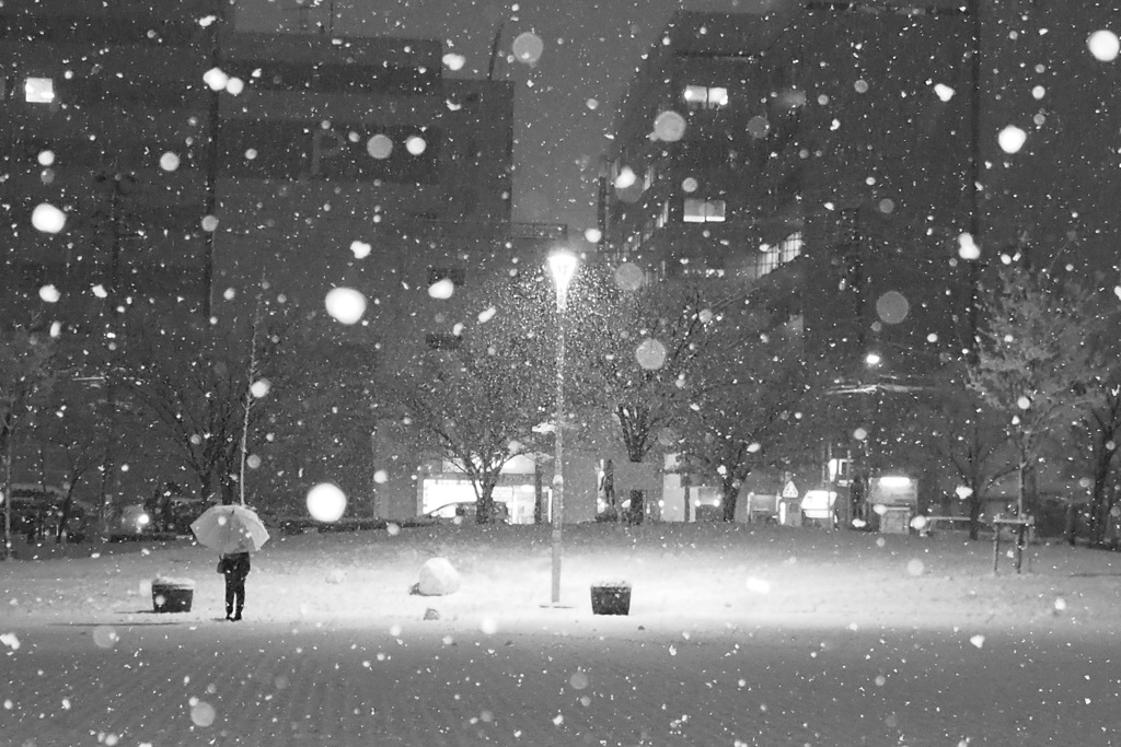 Snow night