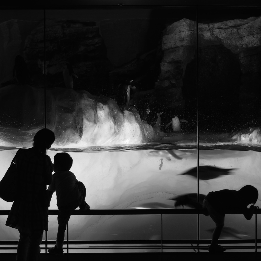 Aquarium それぞれの時間