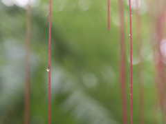 水滴