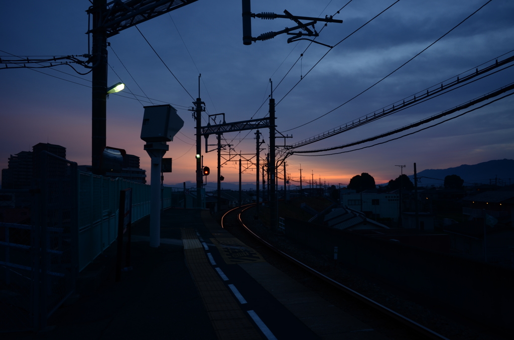 DSC_3637