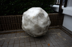 雪だるまの成れ果て