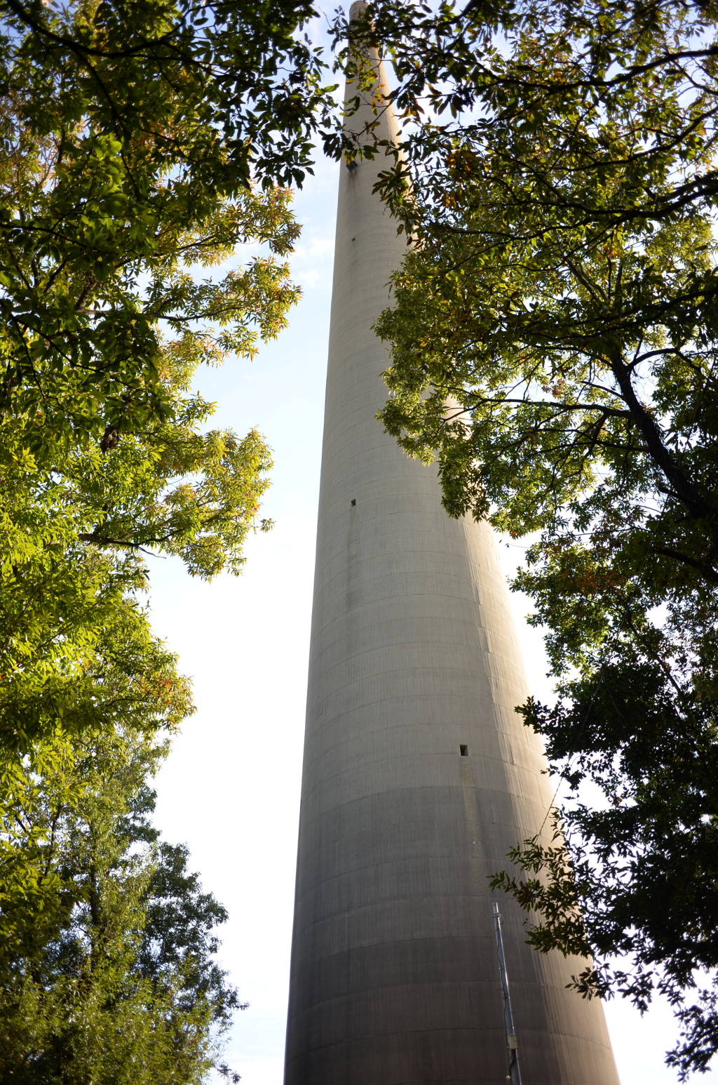 DSC_7403