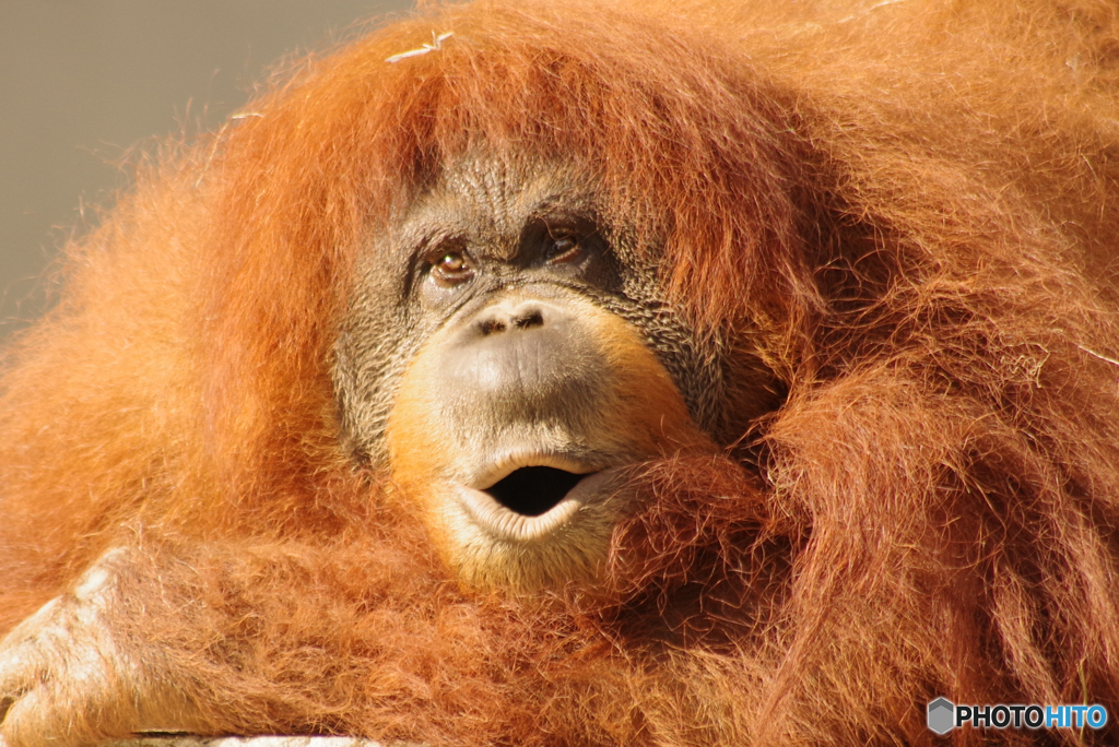 なるほどっ！？