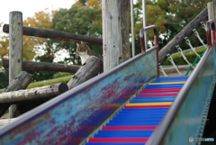 ねこ　その３８６