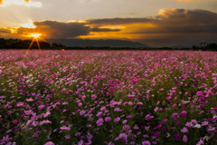 隙間夕日に照らされて