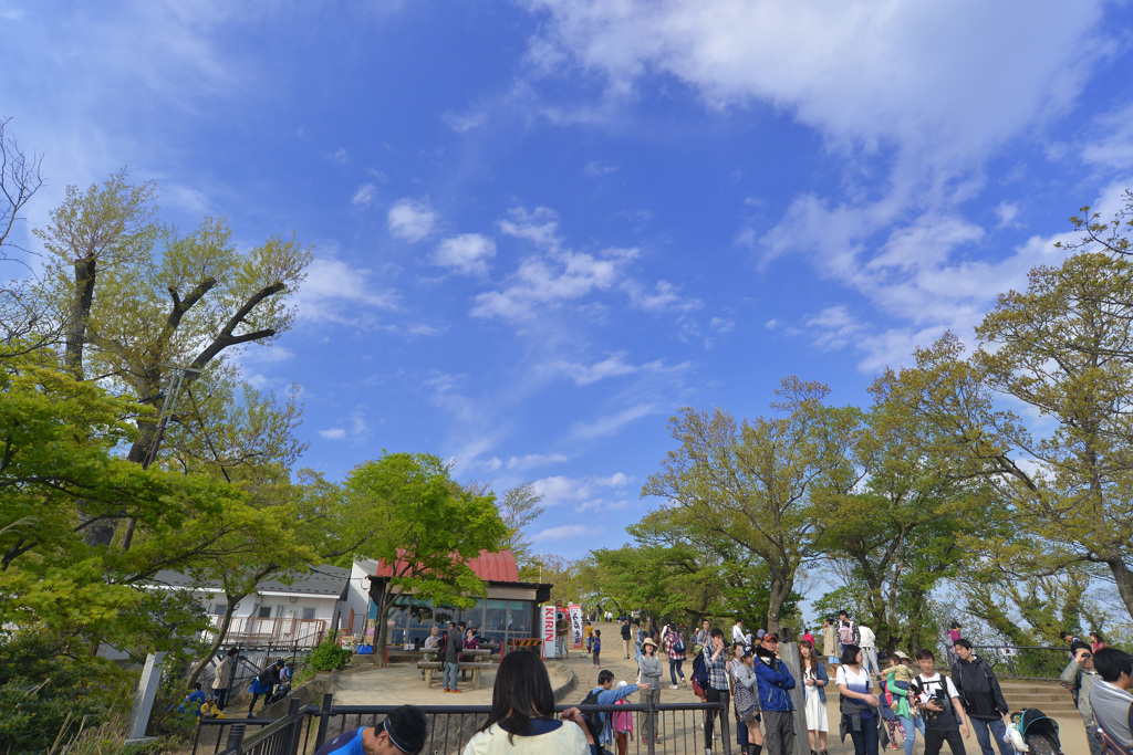 空の上からこんにちは