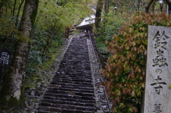 鈴蟲寺