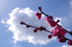 空に向かって