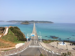 ライトブルー