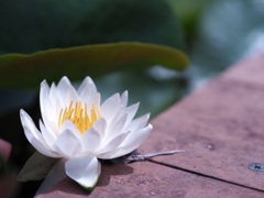 静かに