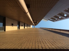 見上げて