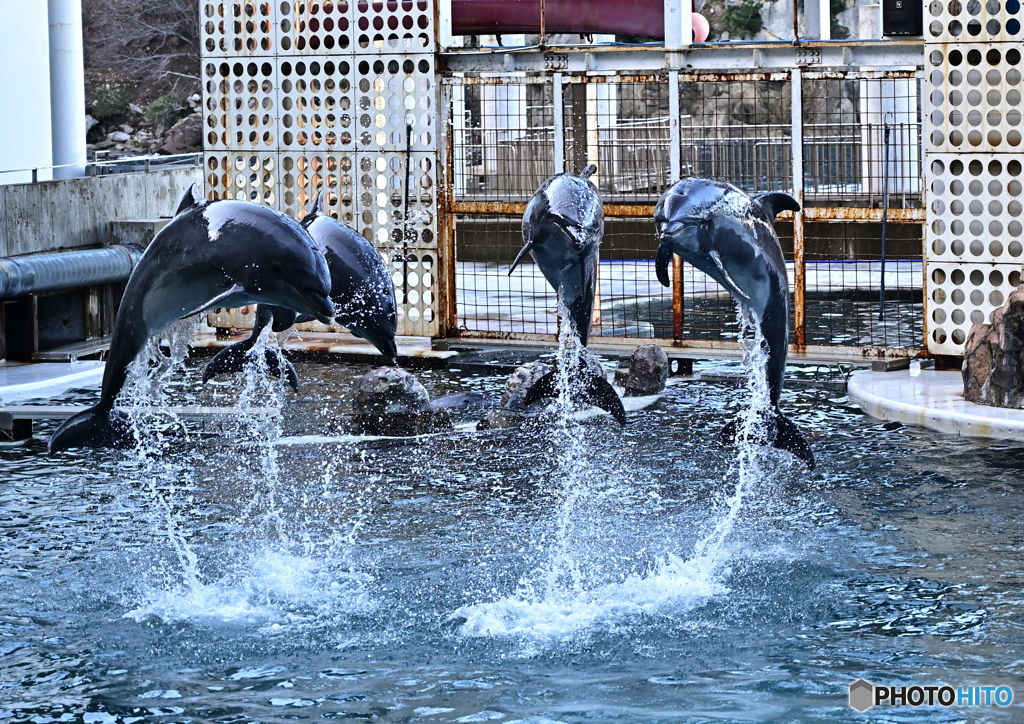 そろってジャンプ！