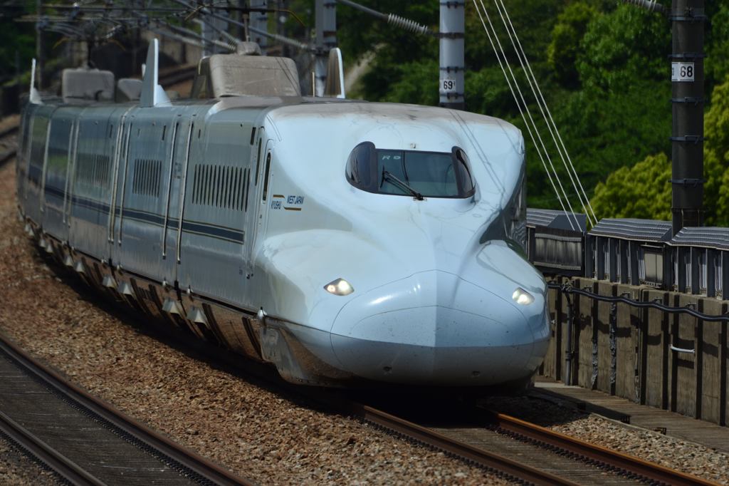 さくらさん