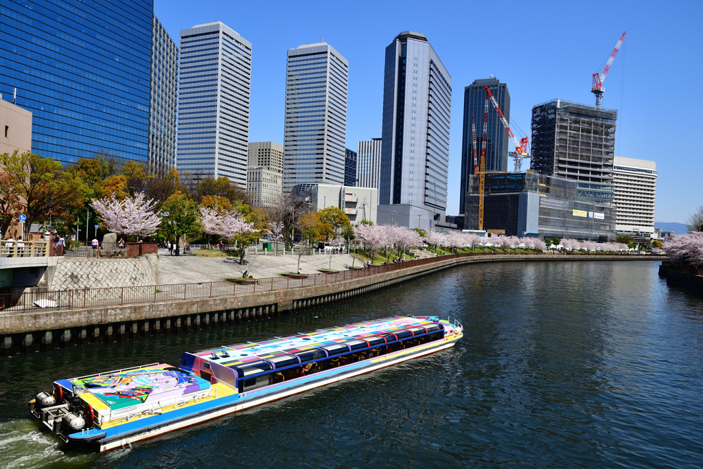 春まっしぐらosaka