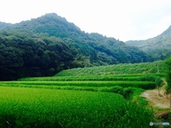 何もない場所…