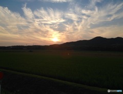 帰り道  II