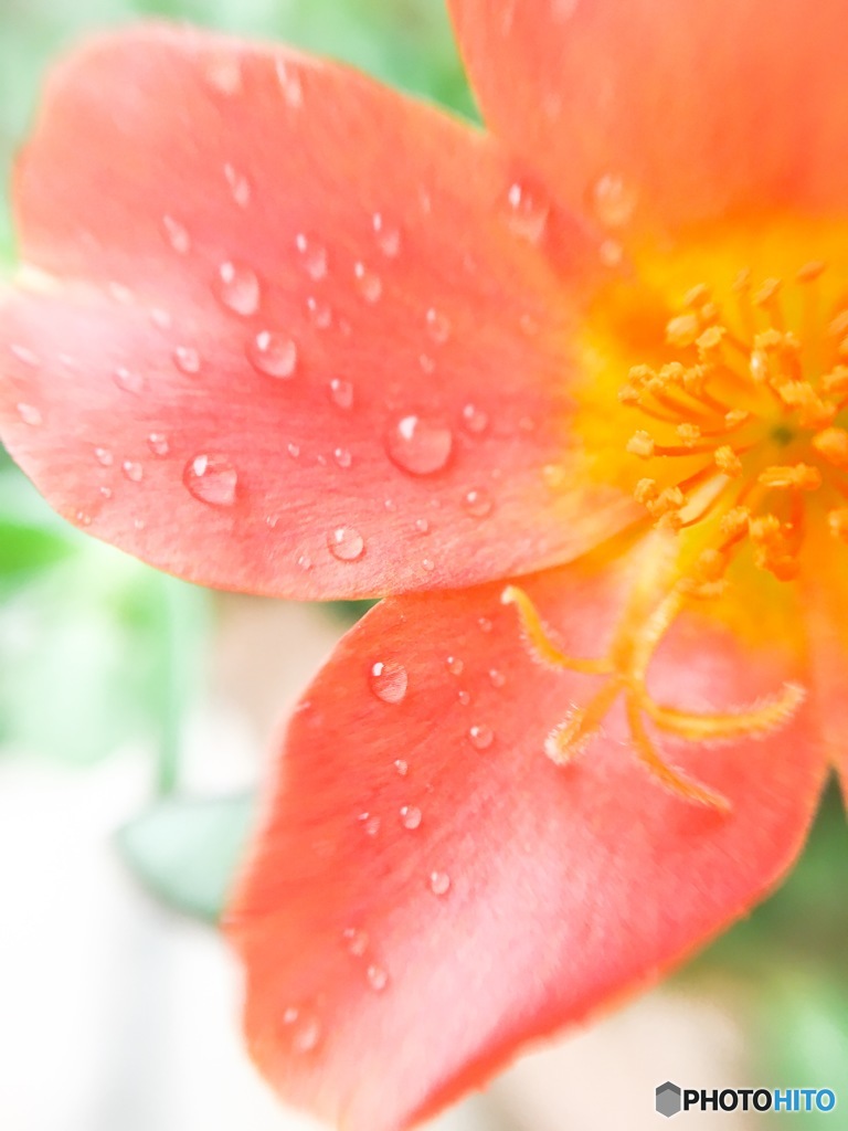 雨も楽しい♡