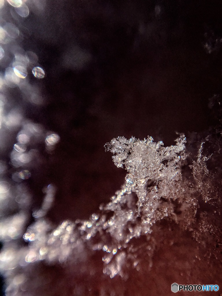 積もった〜⛄️