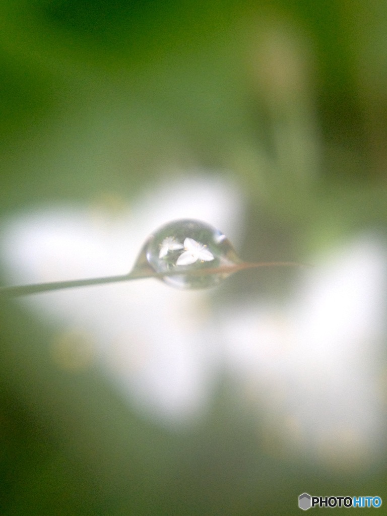 雫の中のツユ･:*:･ﾟ’ฺ☂ฺ②
