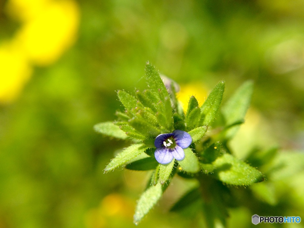 元気をありがとう✿
