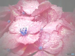 優しい雨☔︎