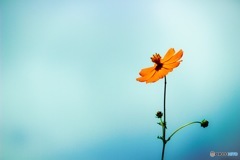 君の世界