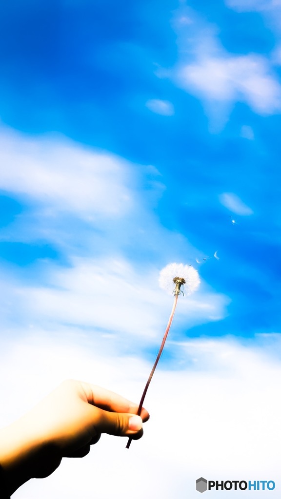 ふ〜〜っっ(*ฅ́˘ฅ̀*)