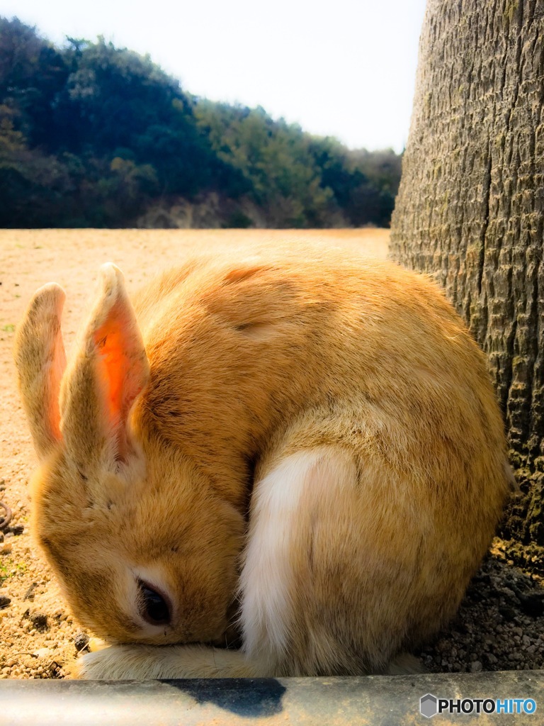 申し訳ございませんm(_ _)m