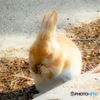 お願いっっ！（^人^）
