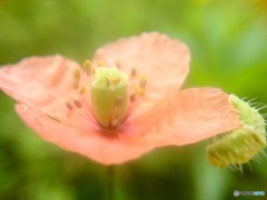 しっかりつかまっててね！