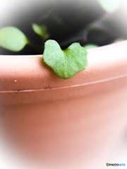 見っけ♡