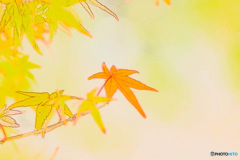 〜 水彩風 〜 
