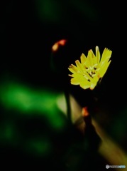 僕のお月様⋆｡˚✩