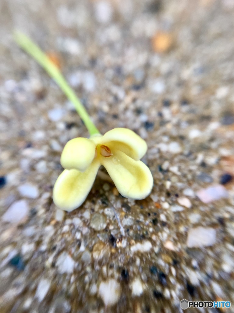 最後まで…