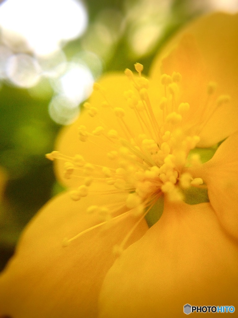 朝陽を浴びて✨