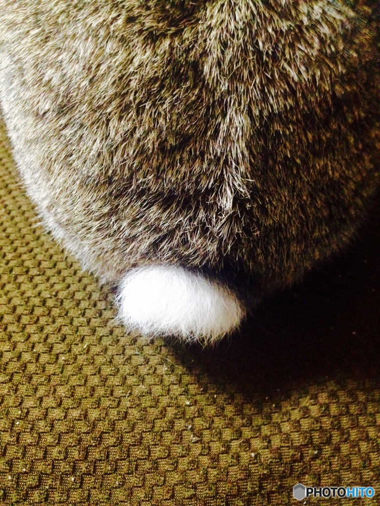 オモシロイ…(^^;;