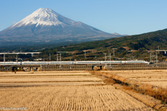 2013年「駆け抜ける富士風景」
