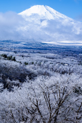 2016年「富士と霧氷の森」