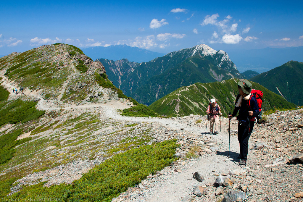 2013年「夏の仙丈ヶ岳登山道より」