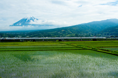 2014年「富士と水田」