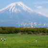 2013年「鯉のぼりと富士山と」