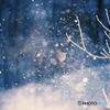 diamond dust