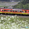 キハ40 RENOFA山口