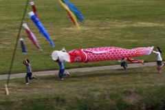 鯉を流す子供